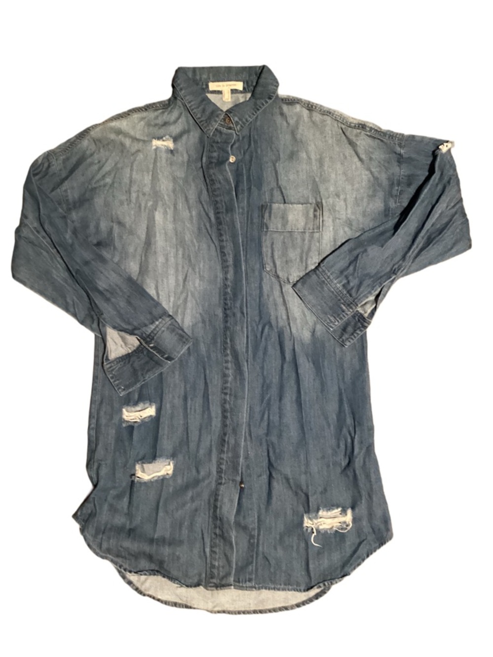 Life In Progress Woman’s Jeans Distressed Button Down